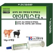 아이지스타 액
