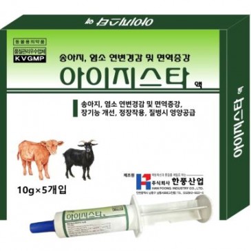 아이지스타 액